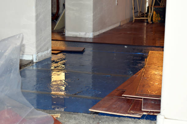 Professional Flood Cleanup technician working in Norwood, MA